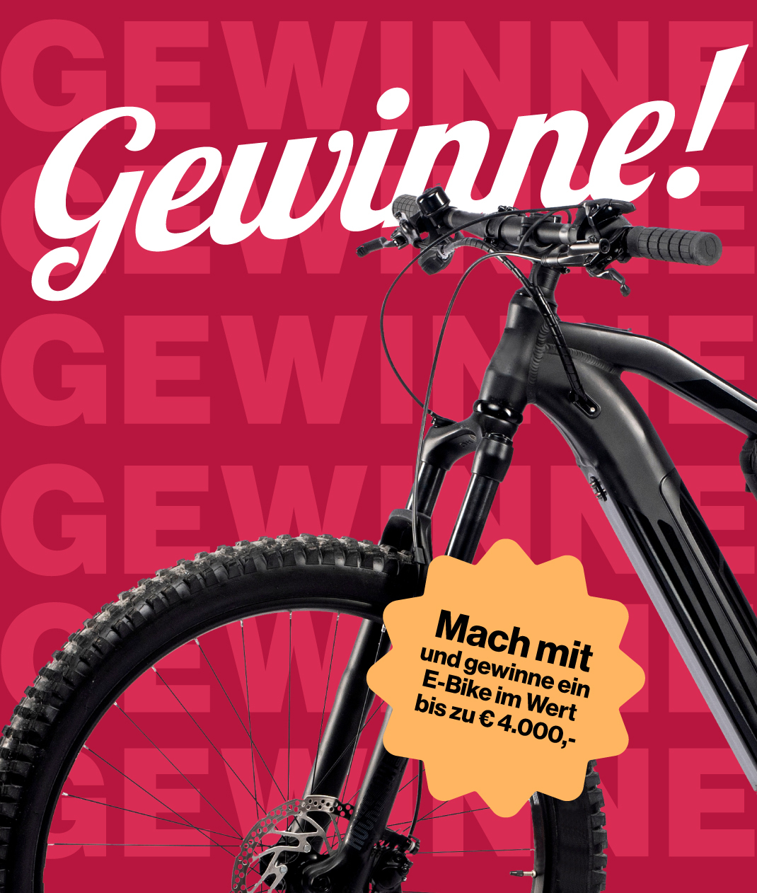 Refurbished E-Bike nach Wahl im Wert von € 4.000 von Rebike