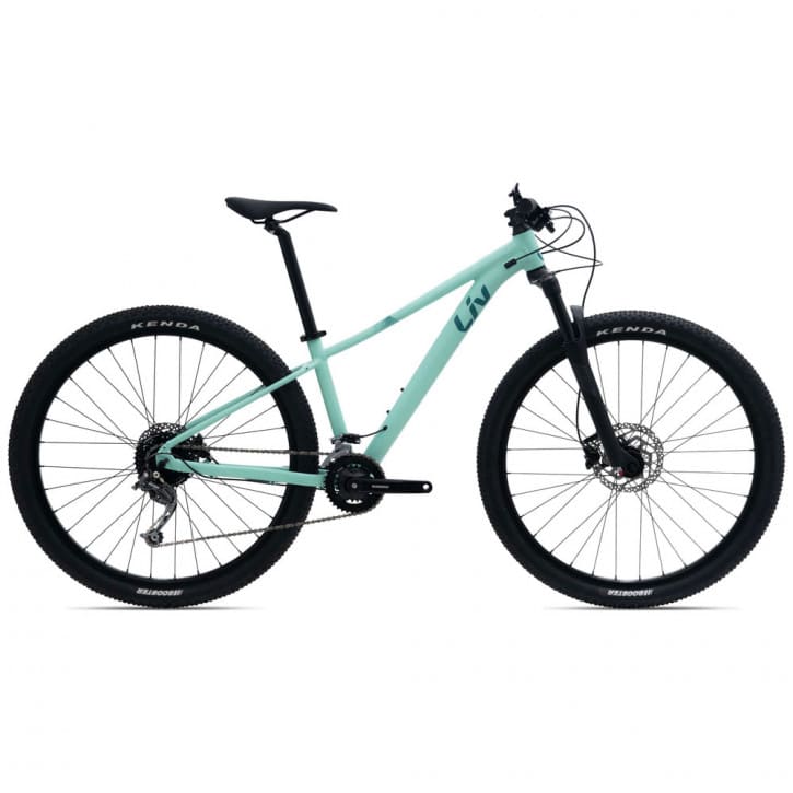 Liv Tempt 2 29" 2024 RH-L