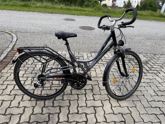 Trekking Bike