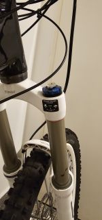 Produktbild 5 von Scott Ransom Limited Edition