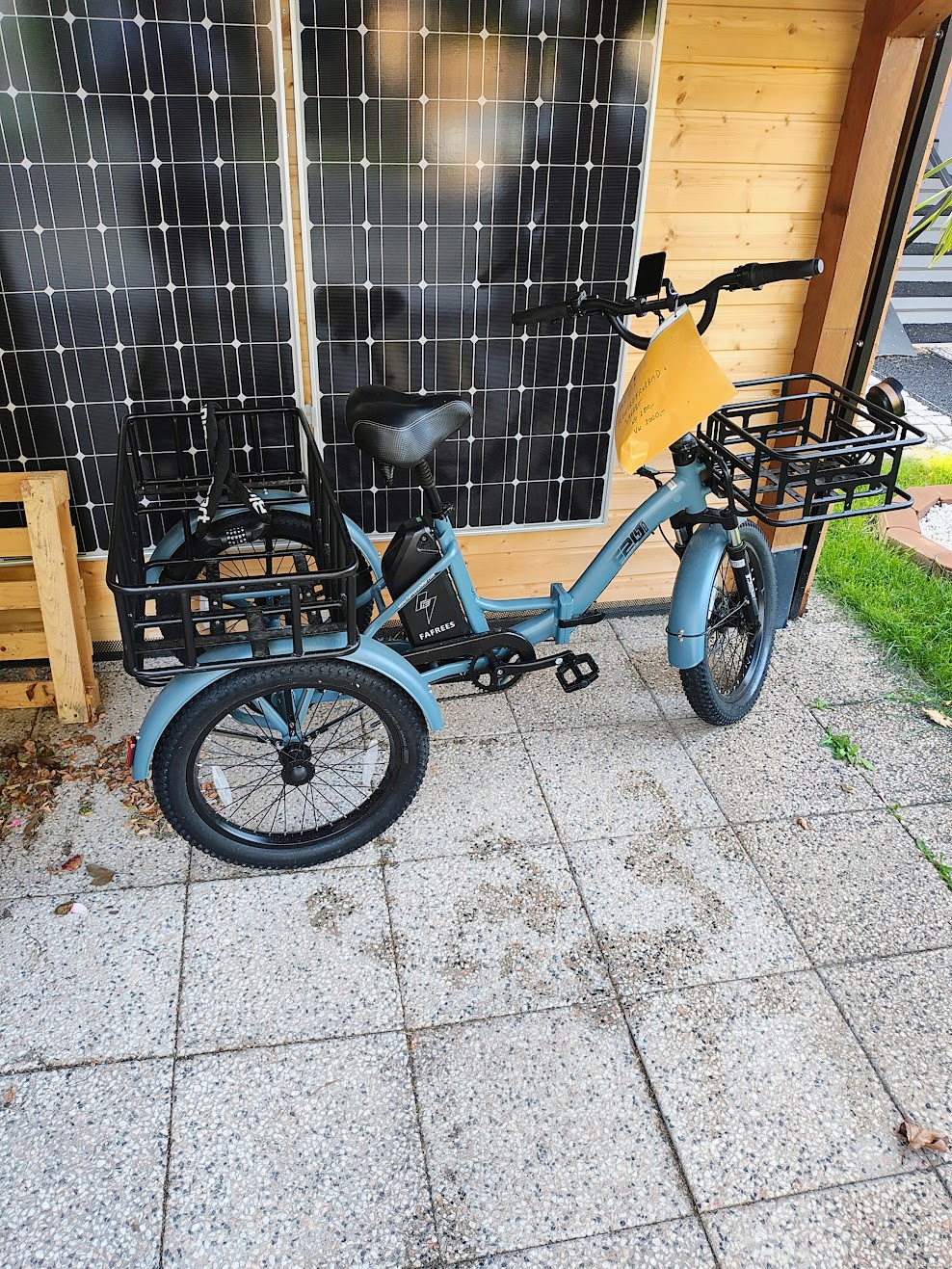 F20 Mate Fat-tire Electric Trike