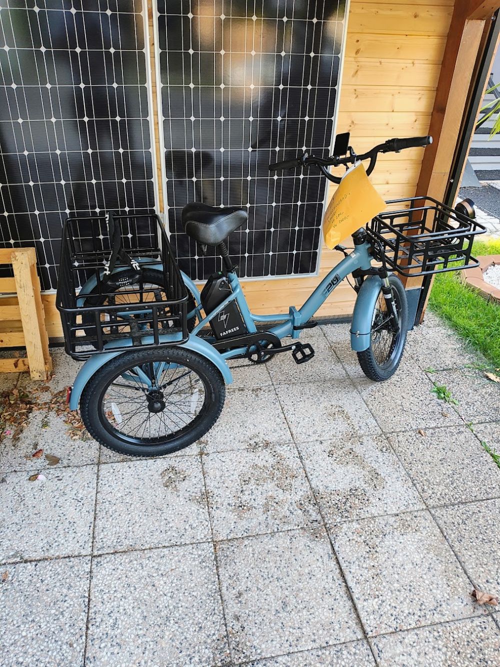 F20 Mate Fat-tire Electric Trike