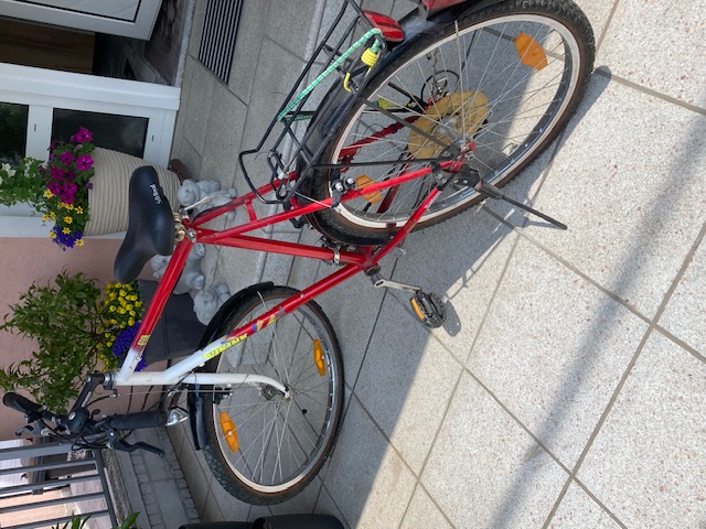 Viking Cyytybike 26 Zoll 12 Gang