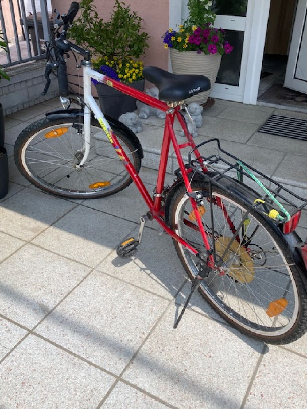 Viking Cyytybike 26 Zoll 12 Gang