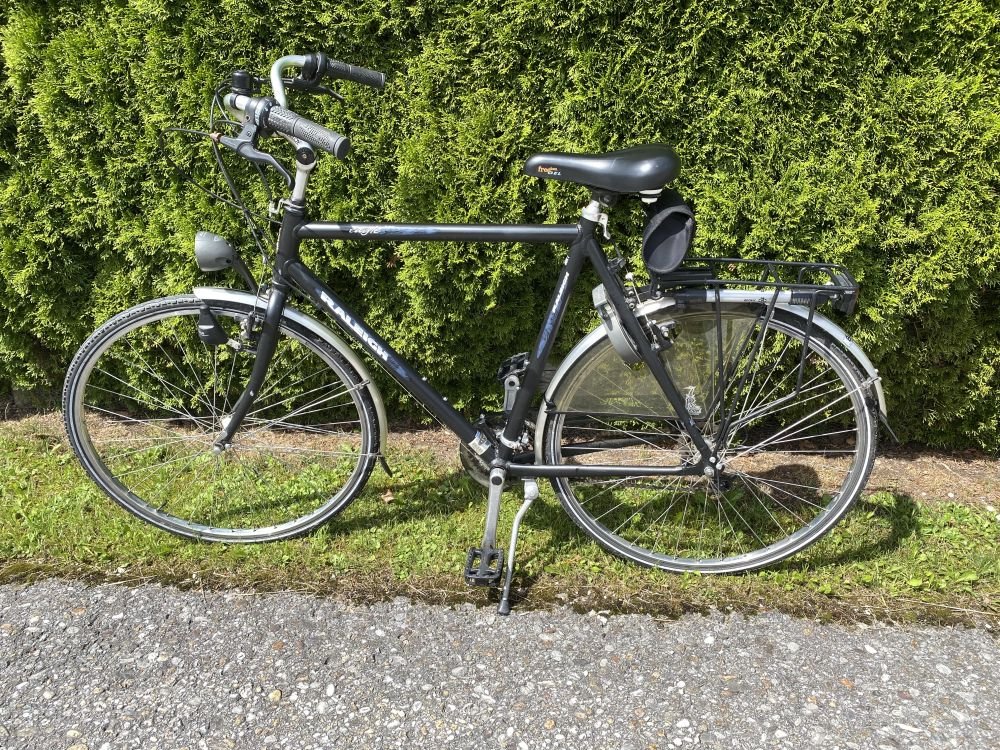Herren Citybike Raligh