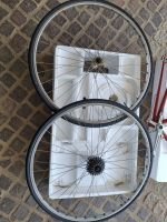 Produktbild 4 von Bottecchia Vintage