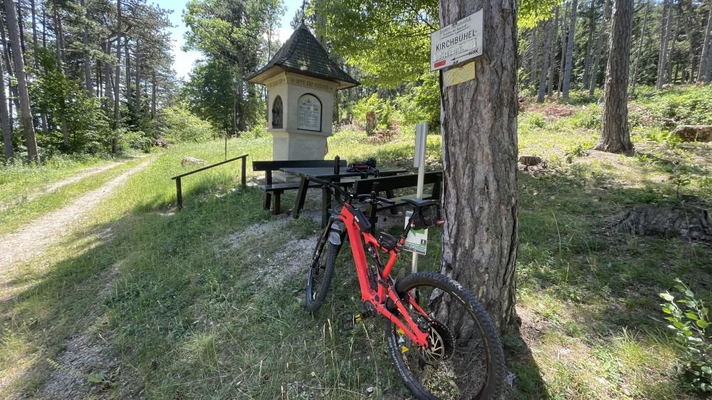 Specialized Levo SL