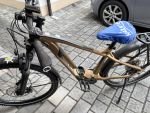 Produktbild 2 von E- Bike Flyer GOROC 2 2.10 2021 630 Wh M