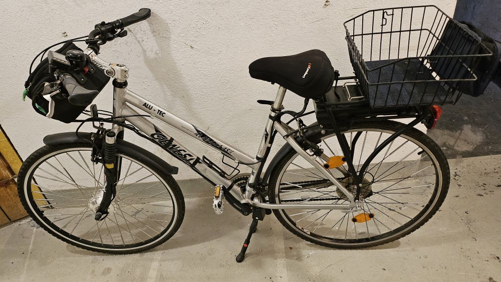 Genesis Damen E-Bike