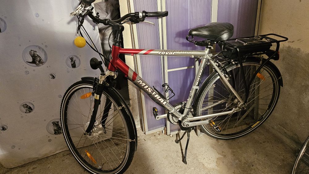 Msitral Herren E-Bike