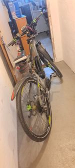 Produktbild 2 von HAIBIKE XDURO RX 29 - E-Bike - 1A Zustand
