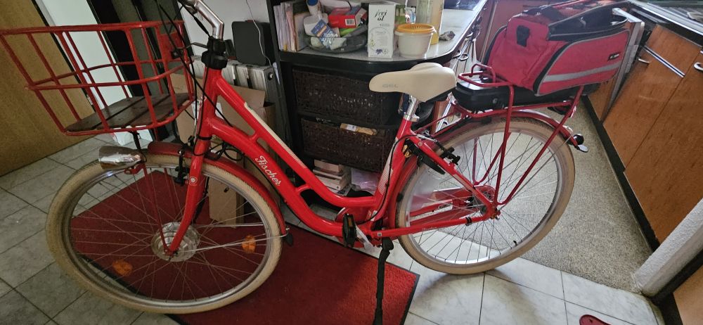 Elektro Fahrrad