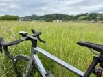 Produktbild 2 von Race Gravelbike -50% BJ 2023 ORBEA Custom Carbon Göße 55 TOP - Zustand
