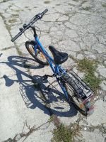 Produktbild 3 von Kinderfahrrad Racing Robby