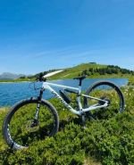 Produktbild 2 von SPECIALIZED Epic Expert Gr. Medium