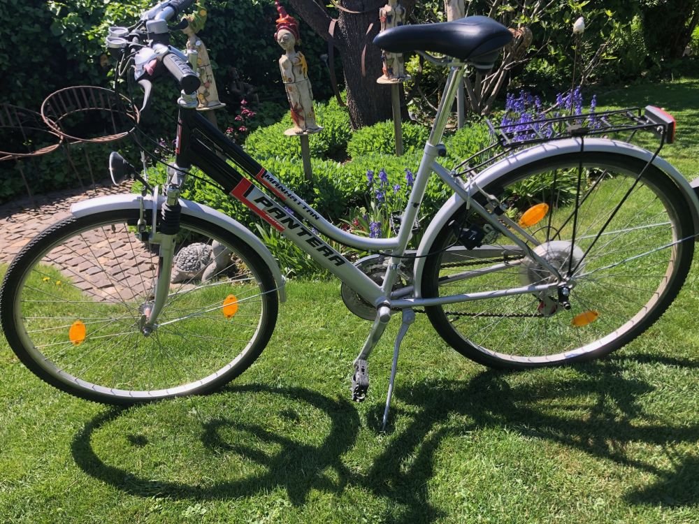 Allzweck-Bike Panterra