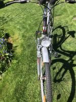 Produktbild 4 von Allzweck-Bike Panterra