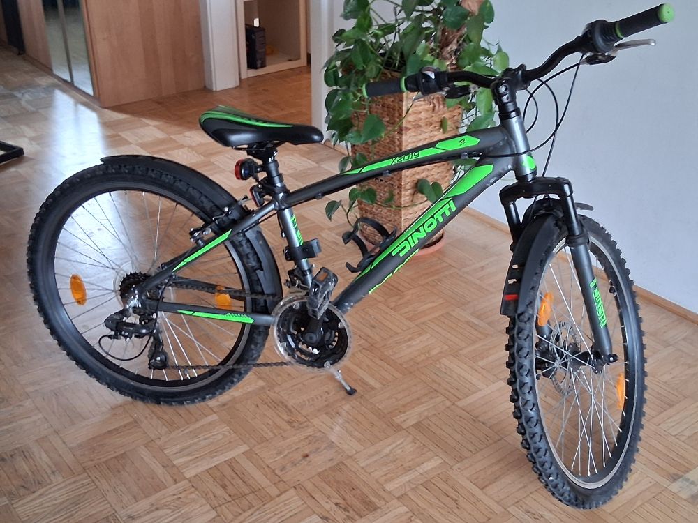Kinderfahrrad DINOTTI X2019 