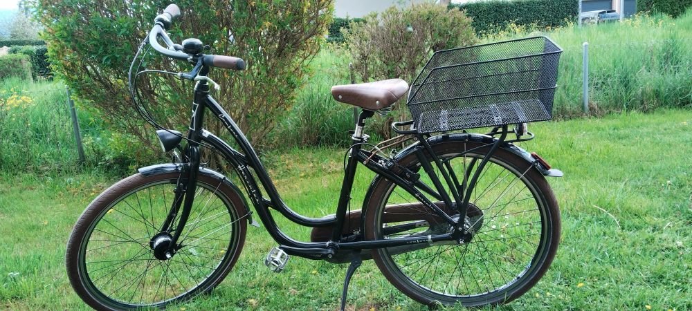 Damen Citybike