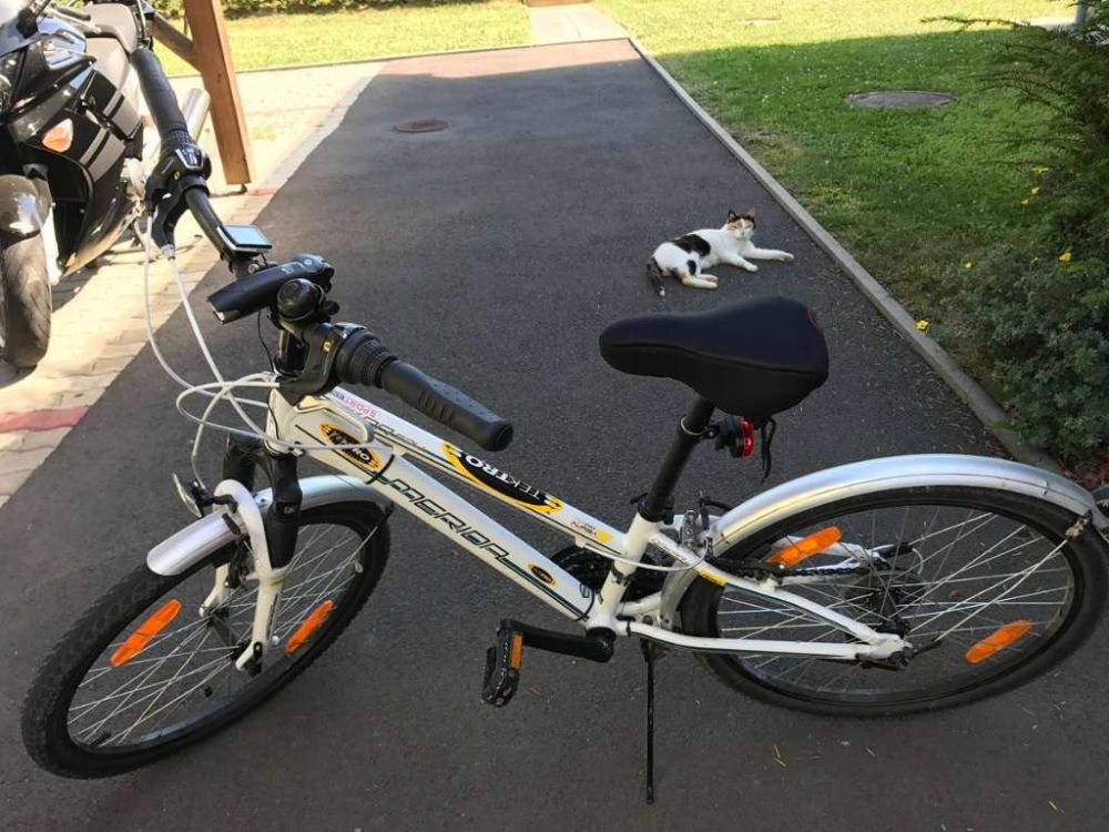 Merida Dakar MTB Kinder/ Jugend