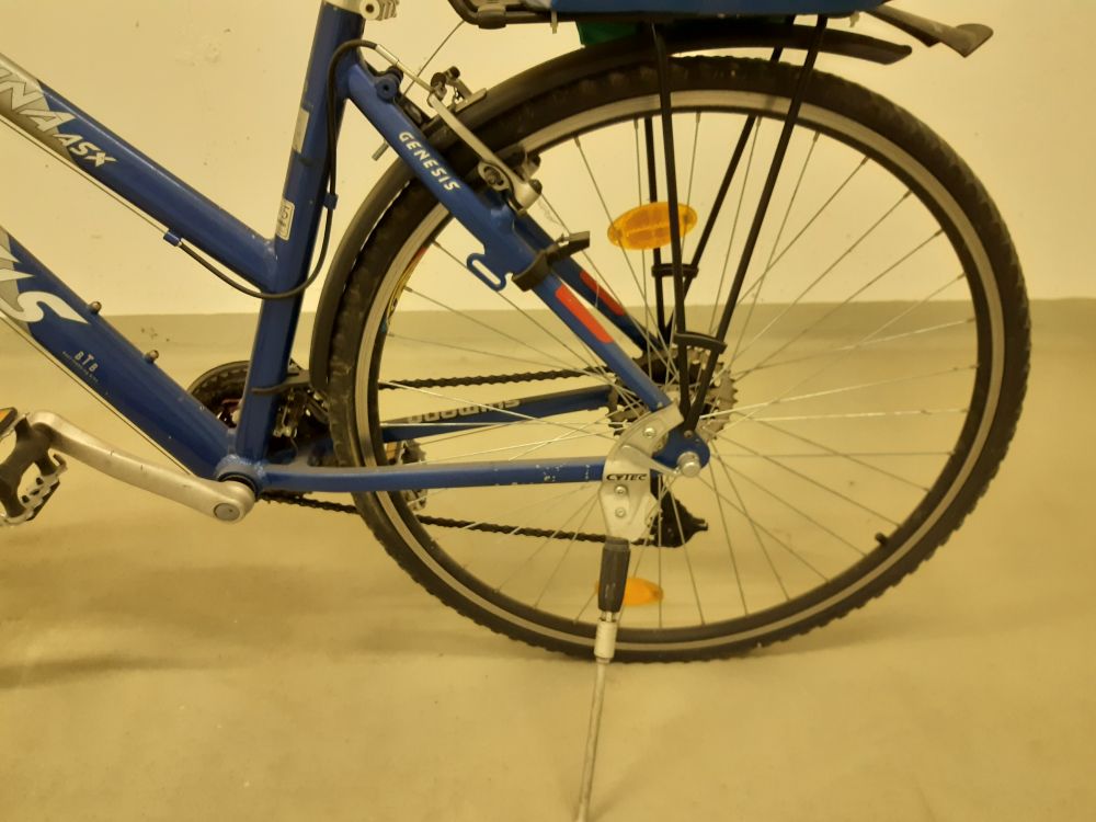 Damen Fahrrad Genesis