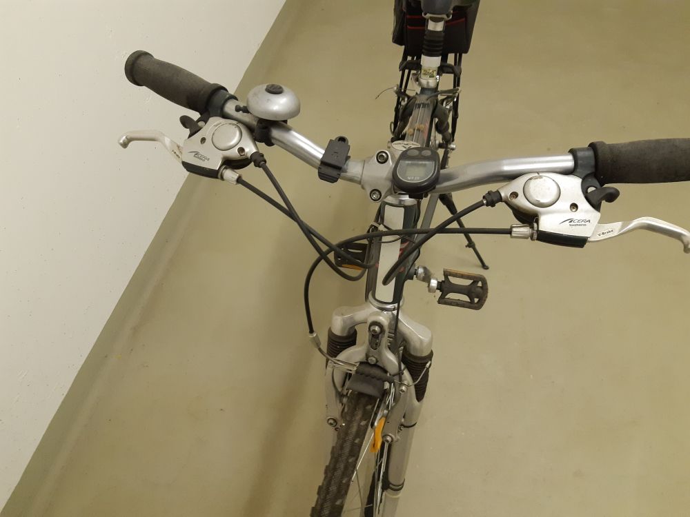 Herren Fahrrad Genesis
