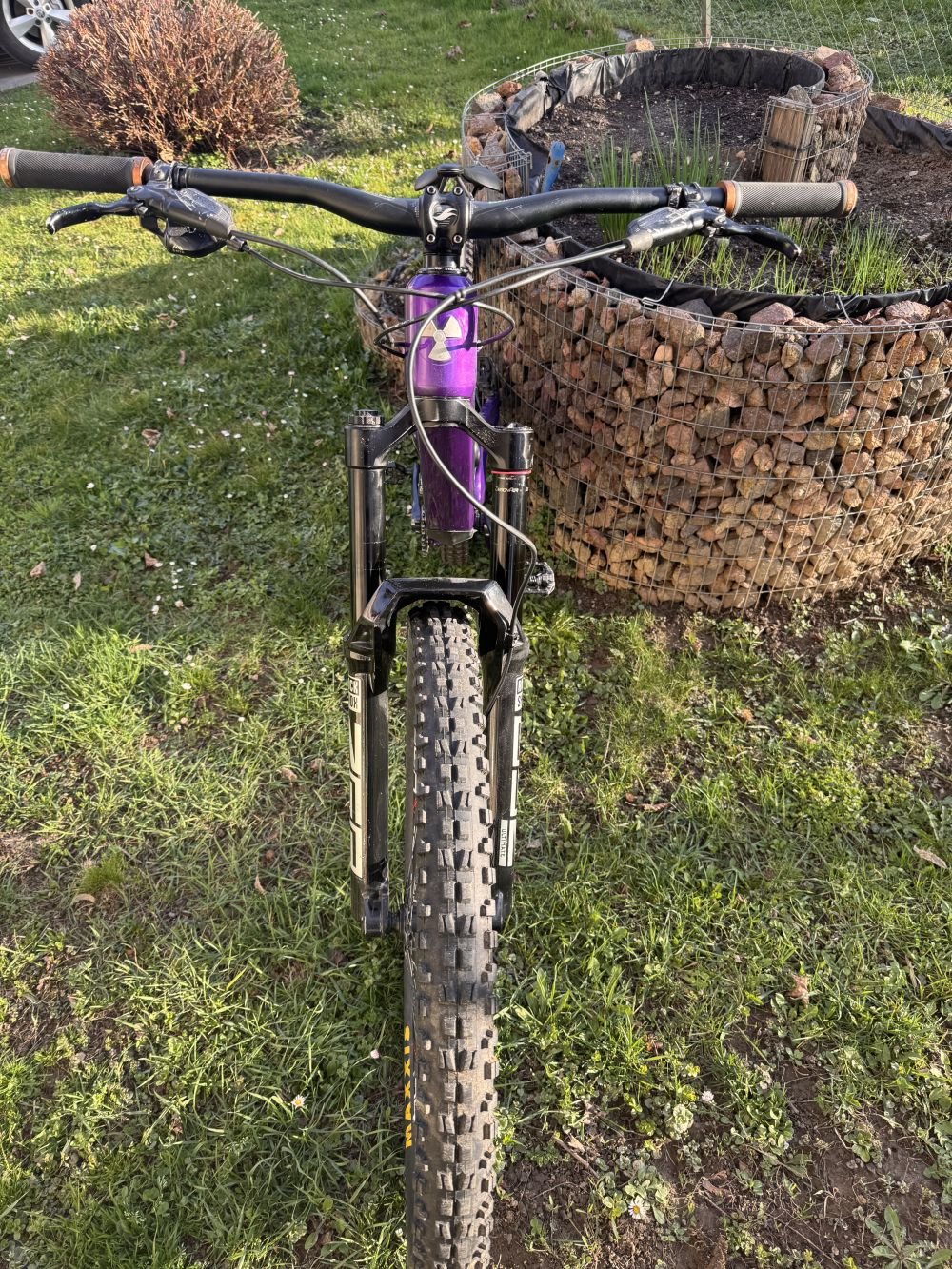 Nukeproof Giga Limited Edition