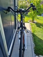 Produktbild 8 von Trekkingbike