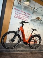 Produktbild 1 von KTM Macina Gran 610 2024