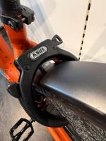 Produktbild 12 von KTM Macina Gran 610 2024