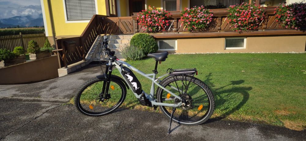 Flyer Uproc 2 4.30 HT L 750 Wh Akku - sehr wenig Kilometer!