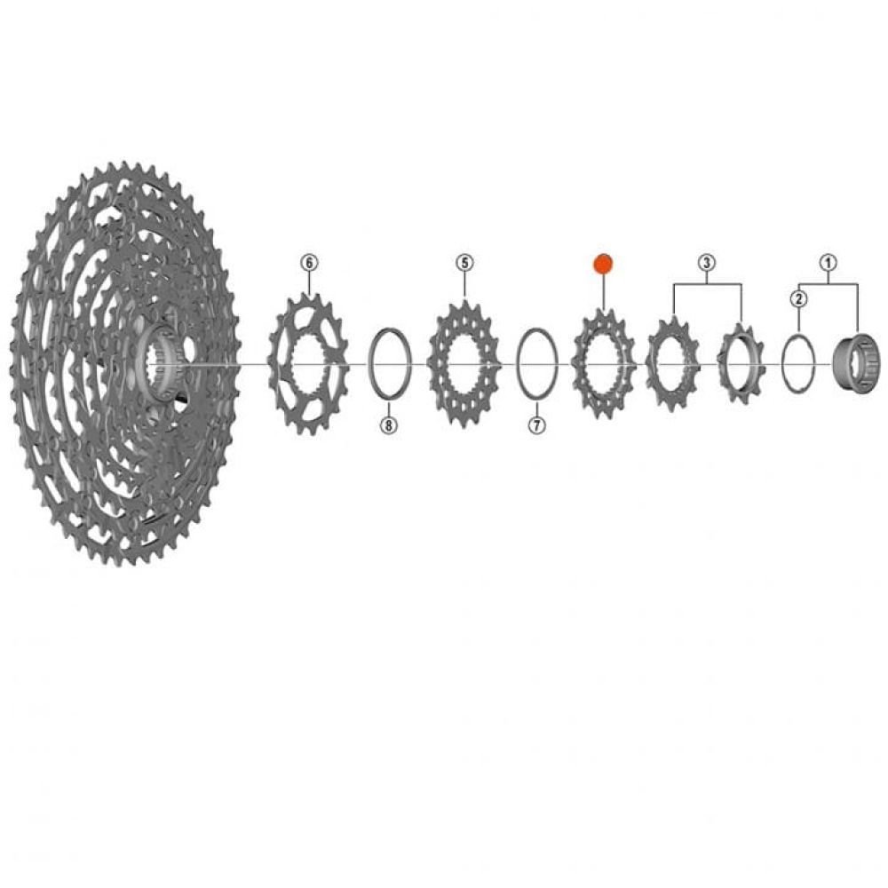 Shimano Ritzel für CS-M8100 14T.