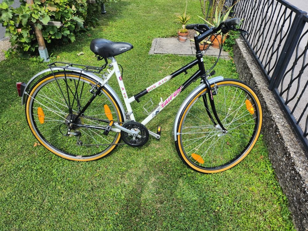 Damenrad Taifun Cosmos 21-Gang