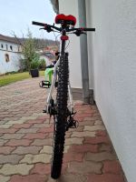 Produktbild 7 von Cross-Bike CENTURION