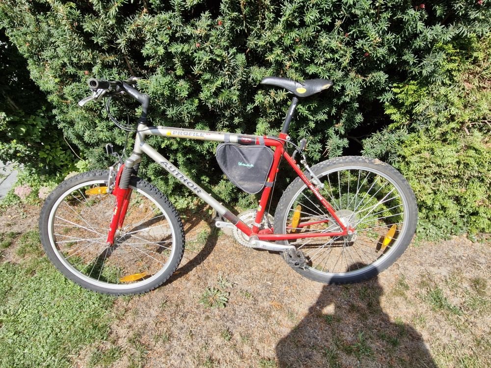 Mountainbike 