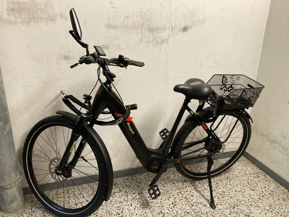 Trekking e-bike