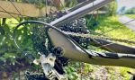Produktbild 6 von Mondraker Dusty R - E-Gravelbike RH: L