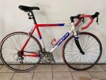 Produktbild 1 von Fuji Rennrad "Team pro Series"