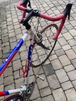 Produktbild 8 von Fuji Rennrad "Team pro Series"