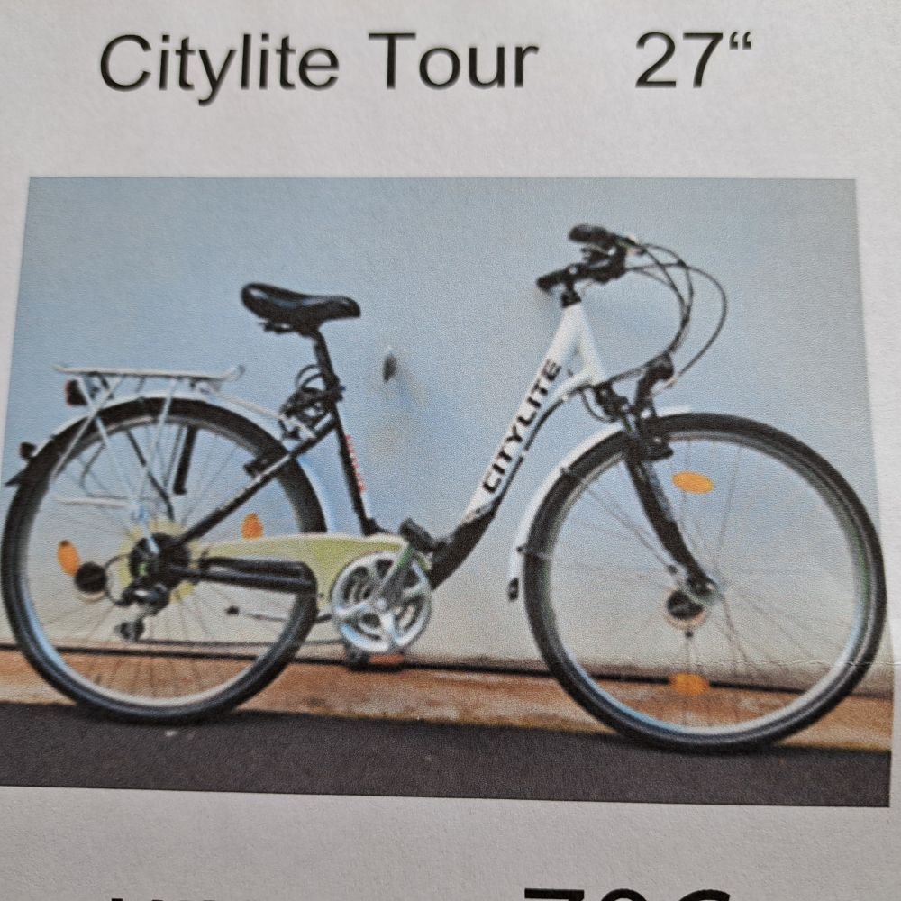 Damen Fahrrad