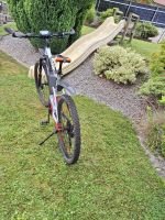 Produktbild 4 von KTM Macina Lycan