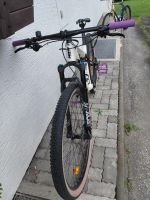 Produktbild 4 von KTM Scarp Elite 