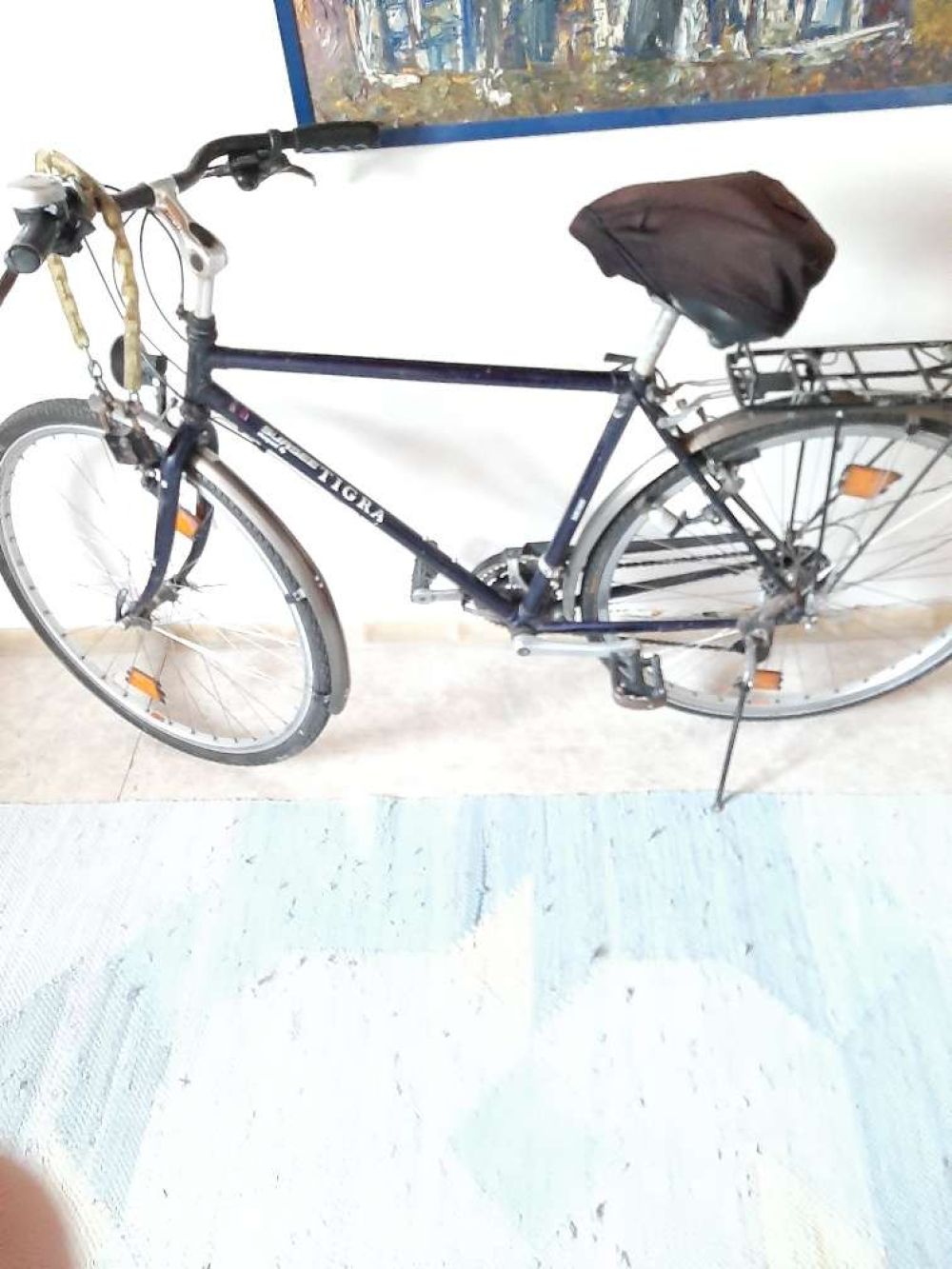 V: Citybike Tigra Sursee, 8010 Graz