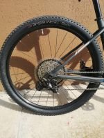 Produktbild 11 von Trek Procaliber 9.6 