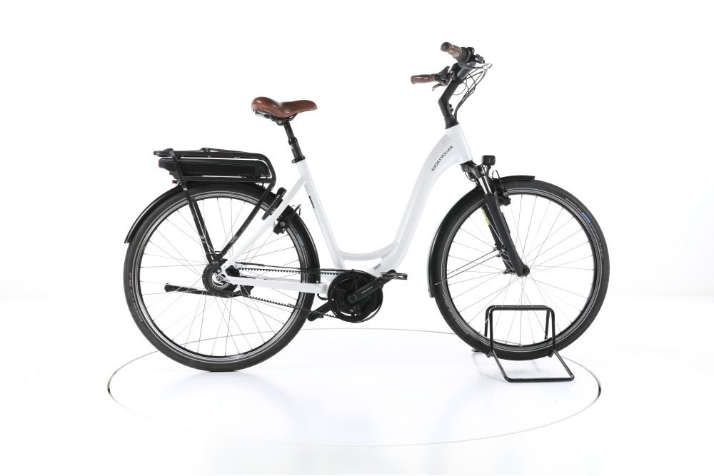 Riese & Müller Swing vario City E-Bike Tiefeinsteiger