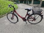 Produktbild 2 von E-Bike, Dinotti, Modell "Milano"