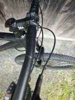 Produktbild 10 von Whitebike XC290COMP