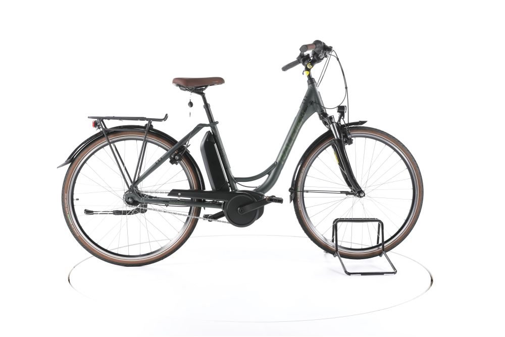 Raleigh Cardiff LB Plus City E-Bike Tiefeinsteiger