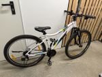 Produktbild 1 von Fahrrad zu verkaufen