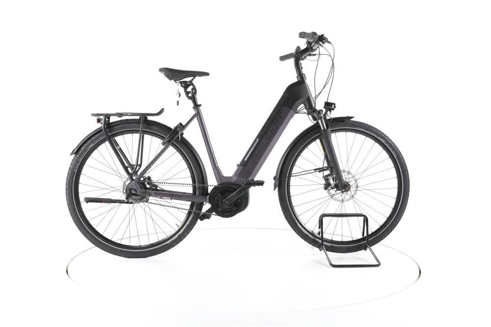 Raleigh Kent Premium City E-Bike Tiefeinsteiger